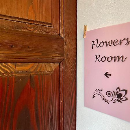 1912 - Flowers Room - Budget For Young Locarno Exterior photo